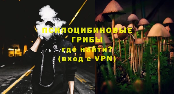 экстази Арсеньев