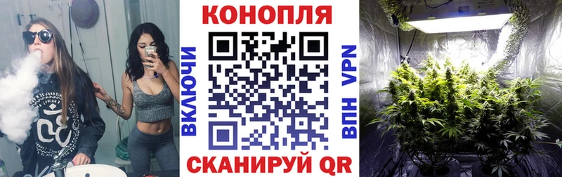 Бошки Шишки Amnesia  Павловск 